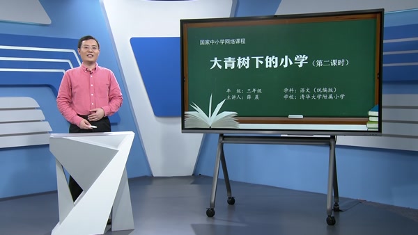 大青树下的小学（第二课时）