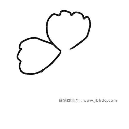 2.接着再画一瓣叶子