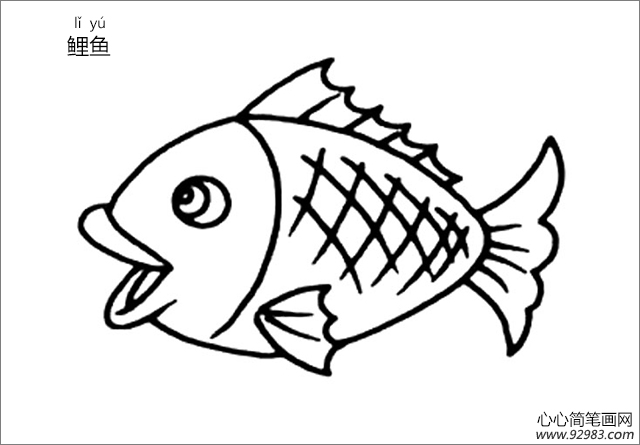 鲤鱼简笔画