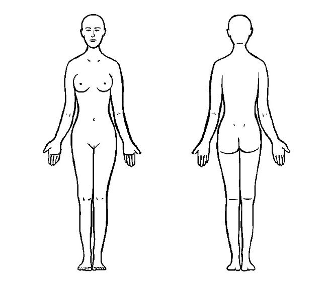 女人体正反面简笔画图片大全