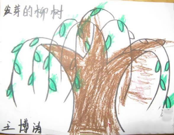柳枝发芽啦美丽的春天儿童画作品图片