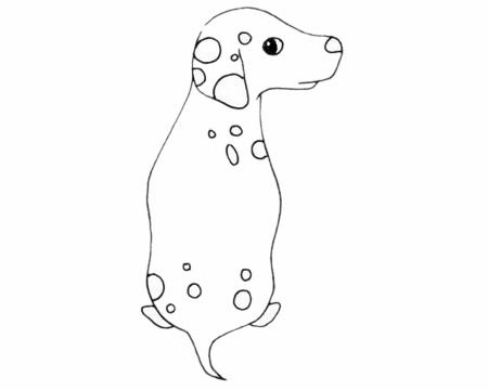 斑点狗简笔画图片