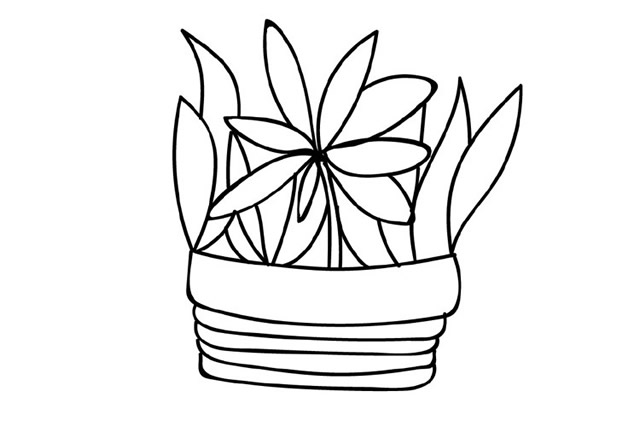 一组植物简笔画手绘图片