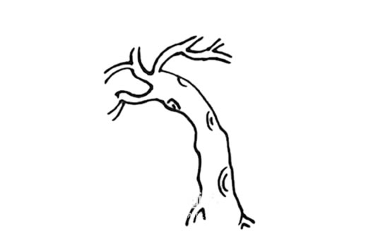 春天的柳树简笔画画法步骤图片