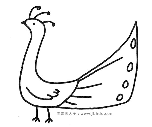 小孔雀简笔画图片4