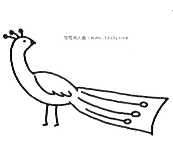 简单的孔雀简笔画步骤4