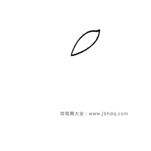 1.先画一片叶子。