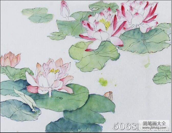 清水出芙蓉国画荷花小写意