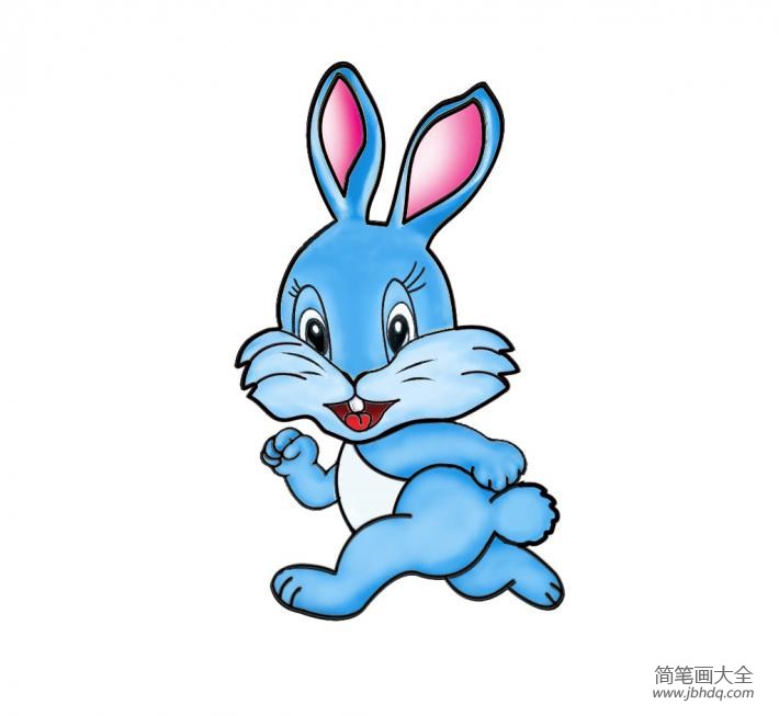 动物简笔画彩色兔子 动物图片简笔画彩色