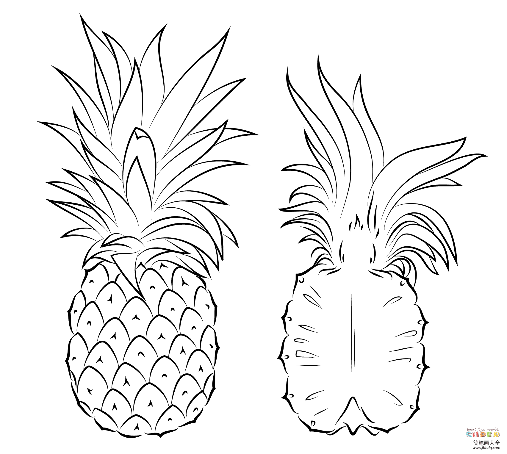 菠萝的简单画法