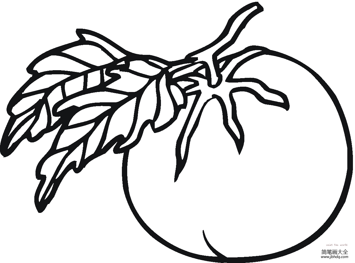 西红柿简笔画画法