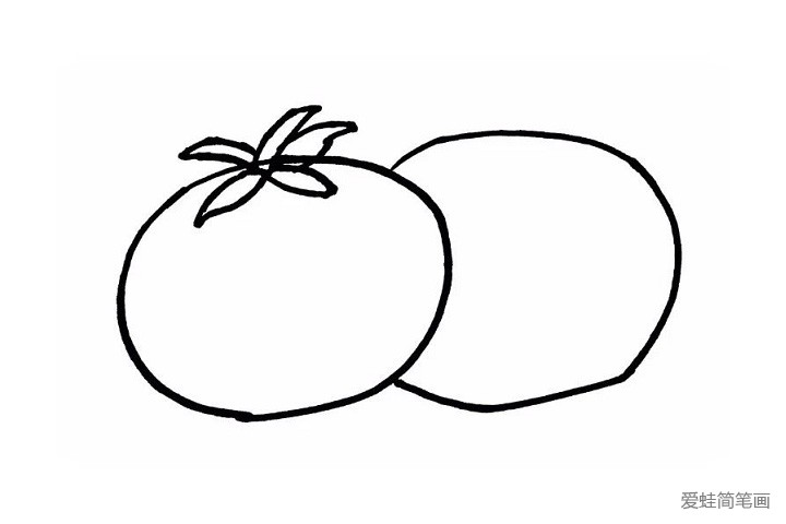 3.接下来就是给西红柿勾画出叶子。周围是四片细细尖尖的叶子，中间凸起的是给果实供给营养的重要桥梁-果径，尖尖的叶子尖尖的果径傻傻分不清楚！