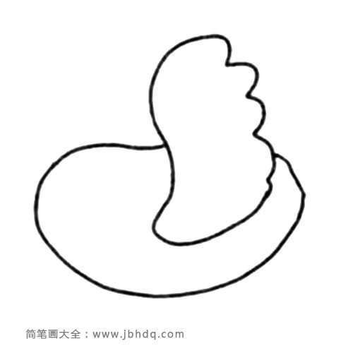 2.画出鸟的身子。