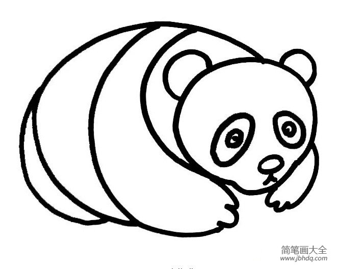 关于熊猫的简笔画