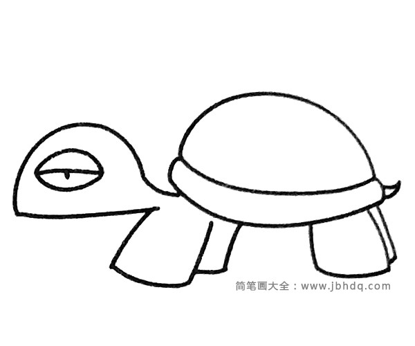 一组卡通乌龟简笔画图片