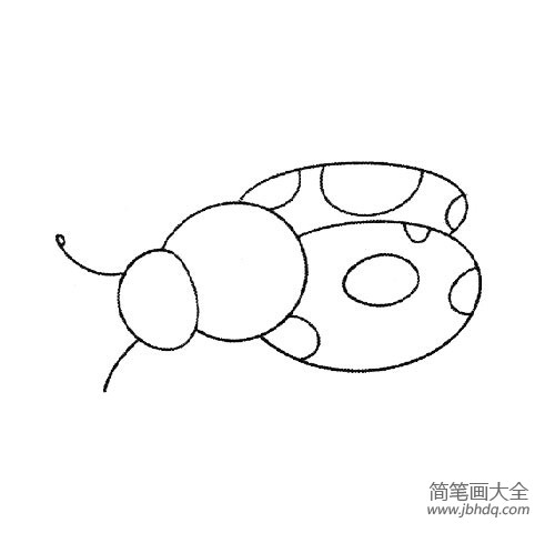 幼儿简笔画 七星瓢虫简笔画