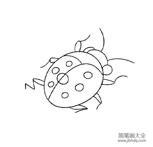 幼儿简笔画 七星瓢虫简笔画