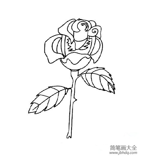 小学生玫瑰花简笔画设计素材