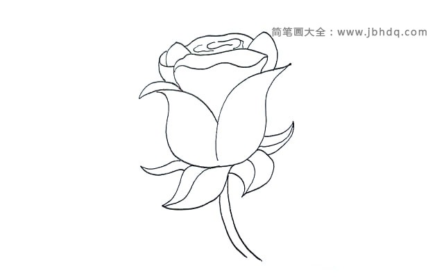 第八步：然后在下方画出玫瑰花枝茎.枝茎两线宽窄要均匀。