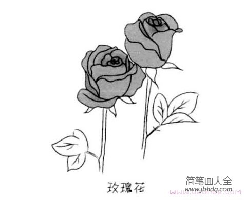 简单漂亮的玫瑰花简笔画