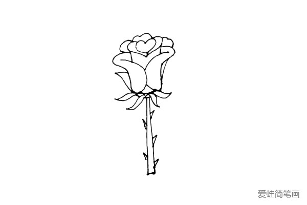 第六步：接着画上玫瑰花的枝条，再加上小尖刺，盛开的玫瑰就画好了。