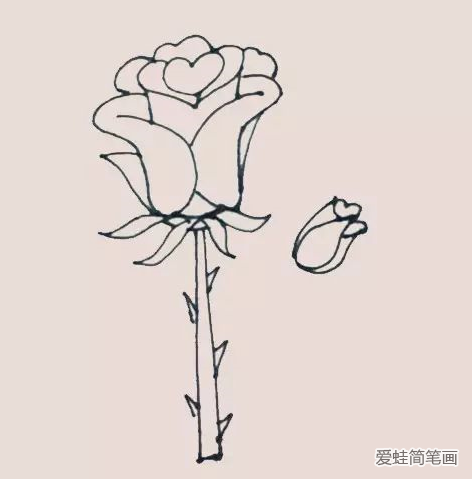 玫瑰花简笔画