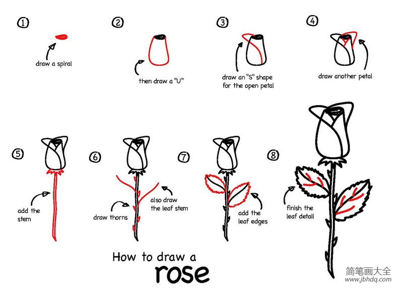 如何画玫瑰花 玫瑰花简笔画教程