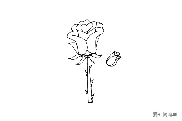 第七步：在玫瑰花旁边再画上一朵没盛开的玫瑰，也是先画上一个小爱心，然后用弧线和曲线包裹起来。