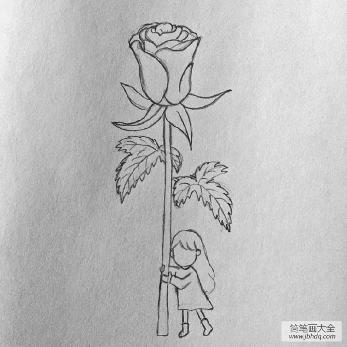 玫瑰花少女简笔画步骤图