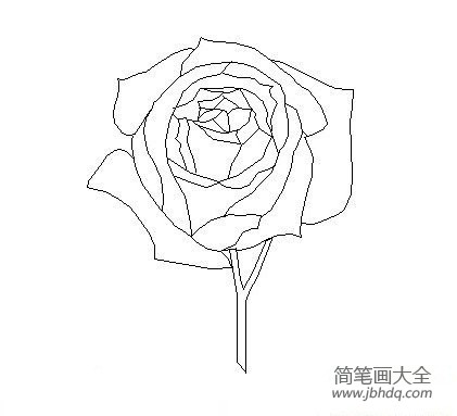 玫瑰花简笔画图片