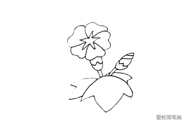 第五步：给喇叭花画上一片大叶子，旁边画上两片小的叶子。