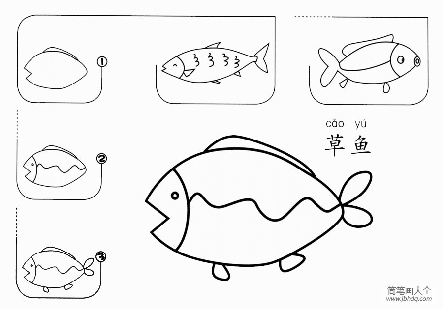 草鱼怎么画