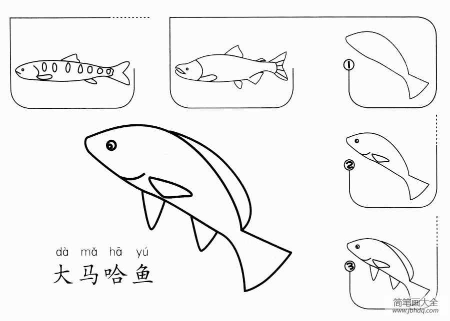 大马哈鱼怎么画