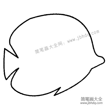 热带鱼简笔画大全及画法步骤