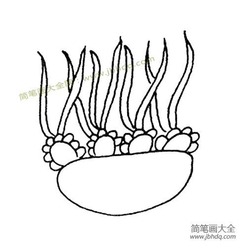 漂亮的水母简笔画图片