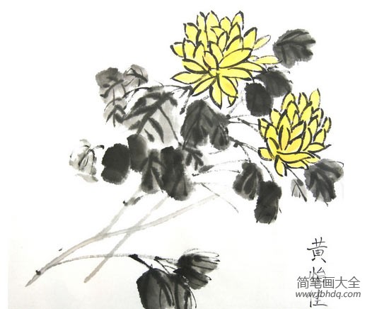 菊花海优秀国画作品