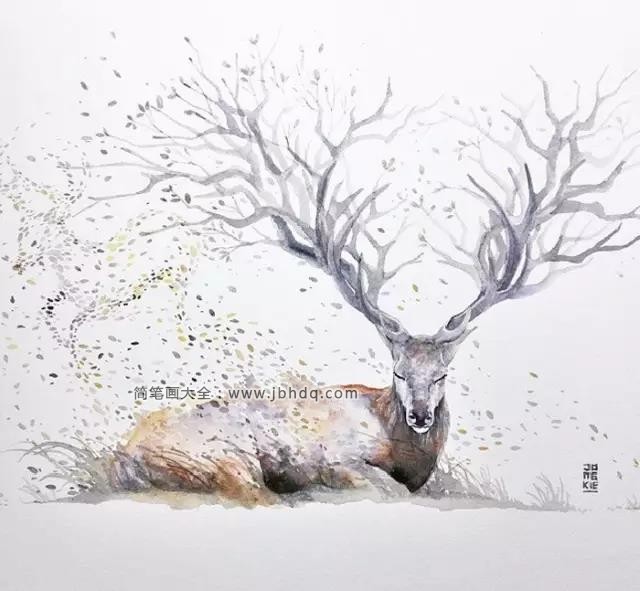 鹿子水彩插画欣赏3