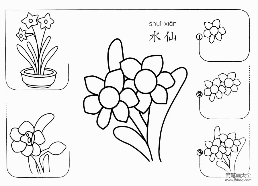 水仙怎么画