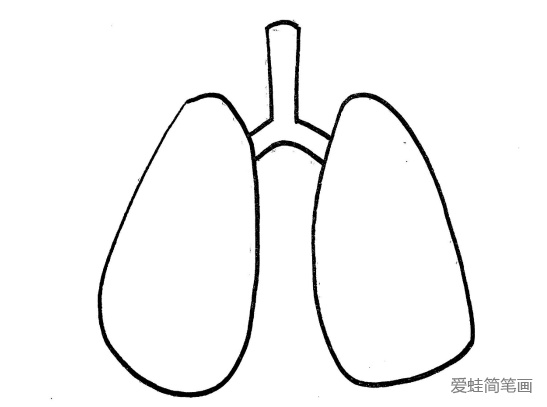 肺炎简笔画