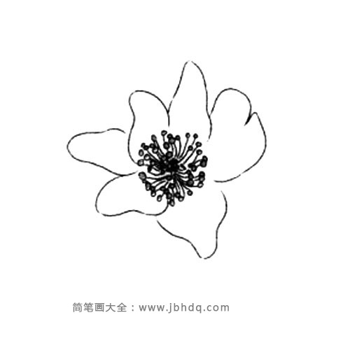 2.再画内层花瓣。