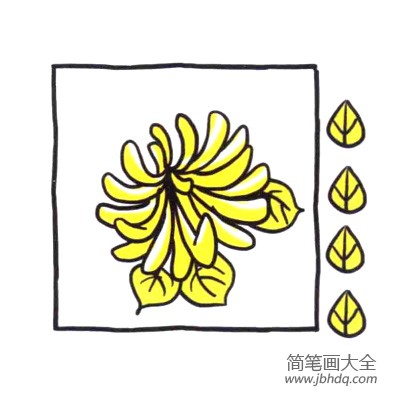 四步画出可爱简笔画 菊花盛开秋天到