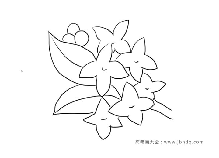 漂亮的丁香花