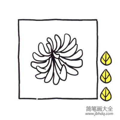 四步画出可爱简笔画 菊花盛开秋天到