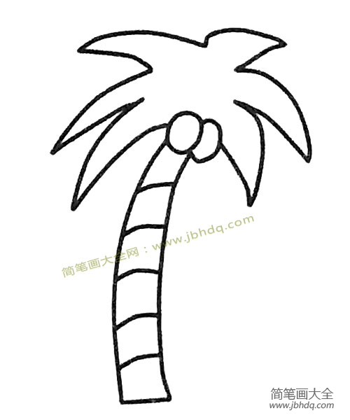 儿童简笔画大全 椰子树简笔画图片