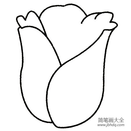 3.然后把花朵画完整。