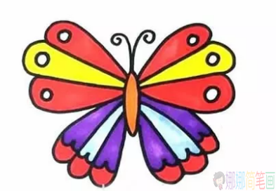 漂亮的彩色蝴蝶儿童简笔画图片