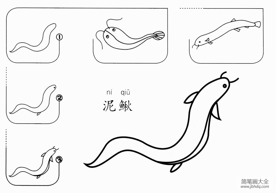 泥鳅怎么画