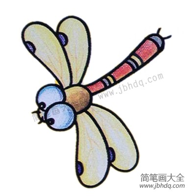 5.涂上颜色完成（蜻蜓的种类有很多，颜色也是多种多样的，小朋友涂色时可以大胆设计。）