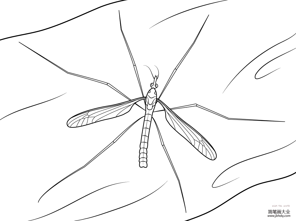 简单的蚊子简笔画