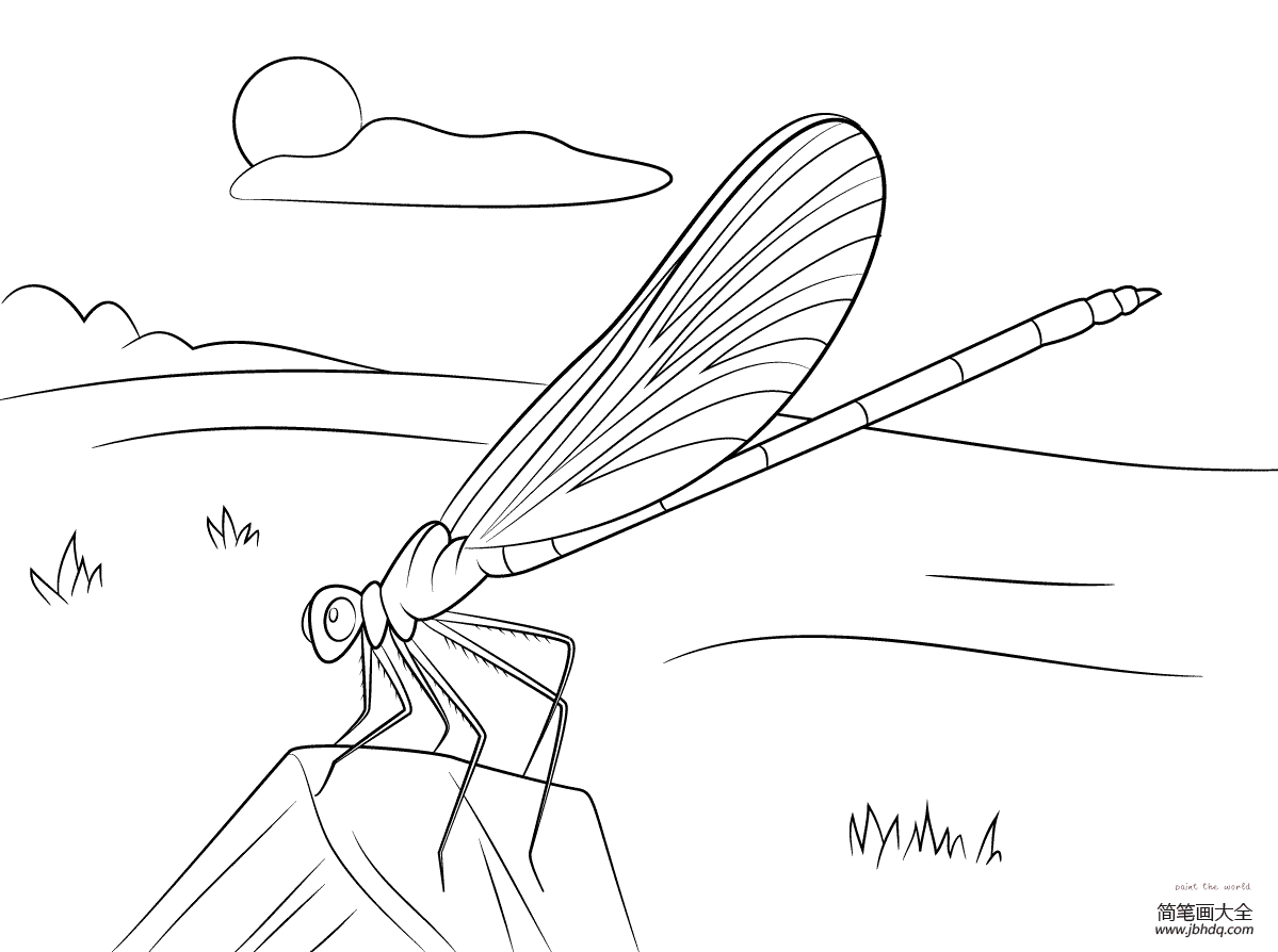 在休息的蜻蜓怎么画